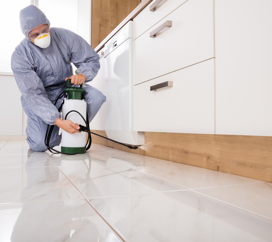 Pest Control Services Pest Control Services Pest Control Services Pest Control Services